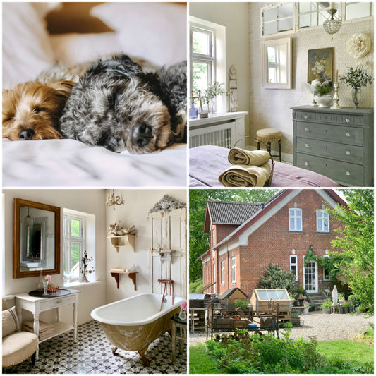 Det Franske Værelse til 1 person