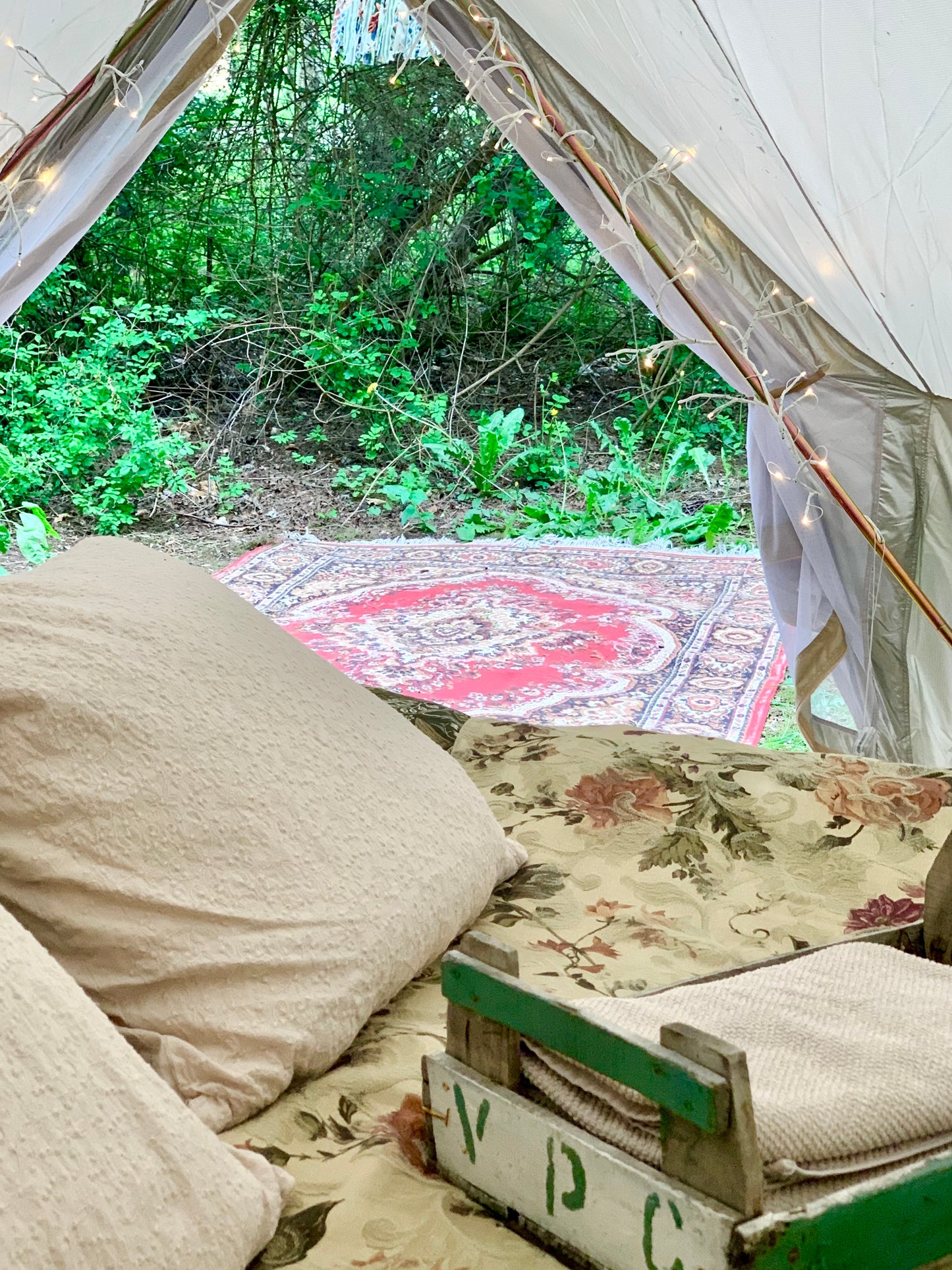Camp Shadowland