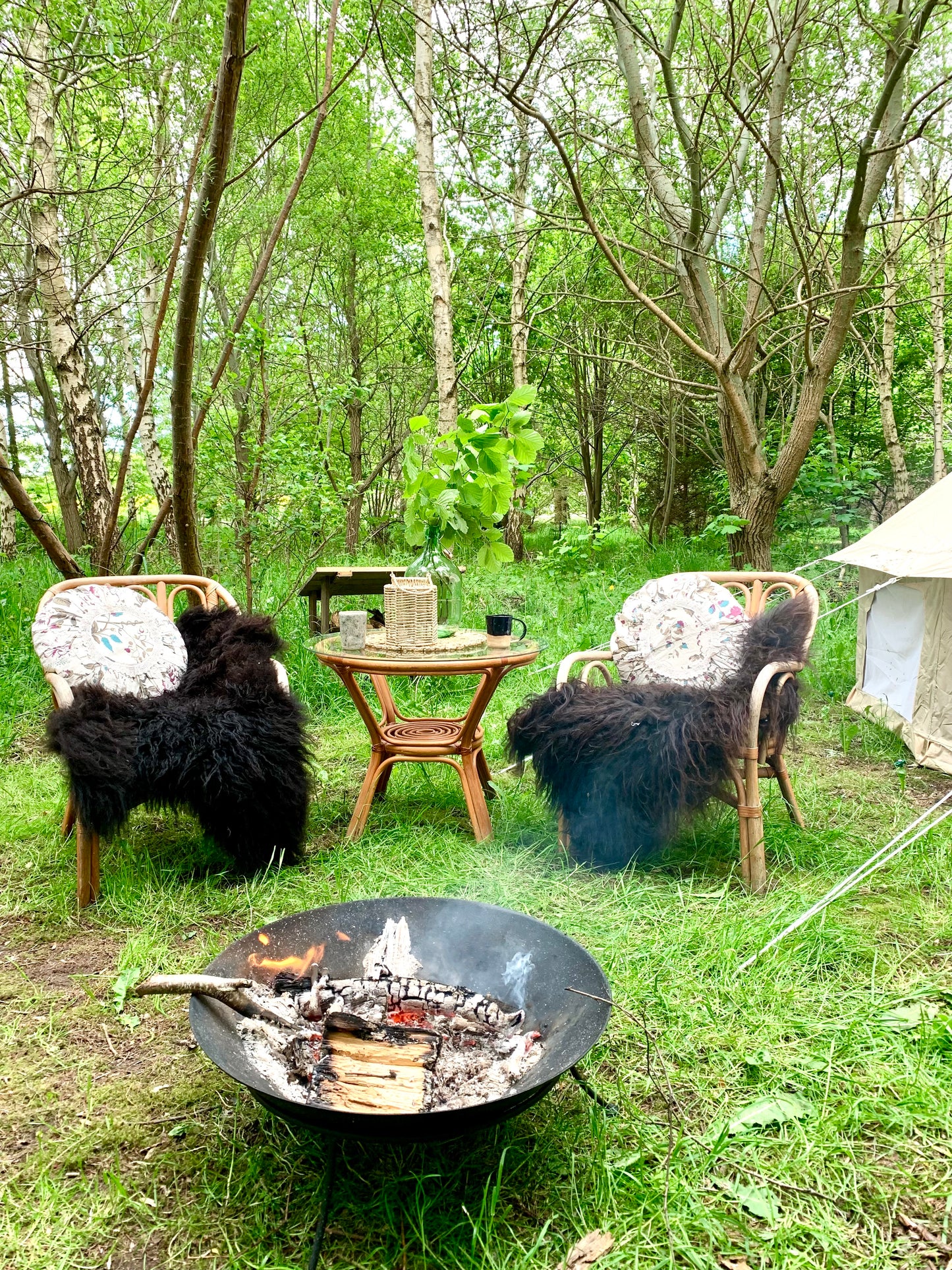 Camp Shadowland