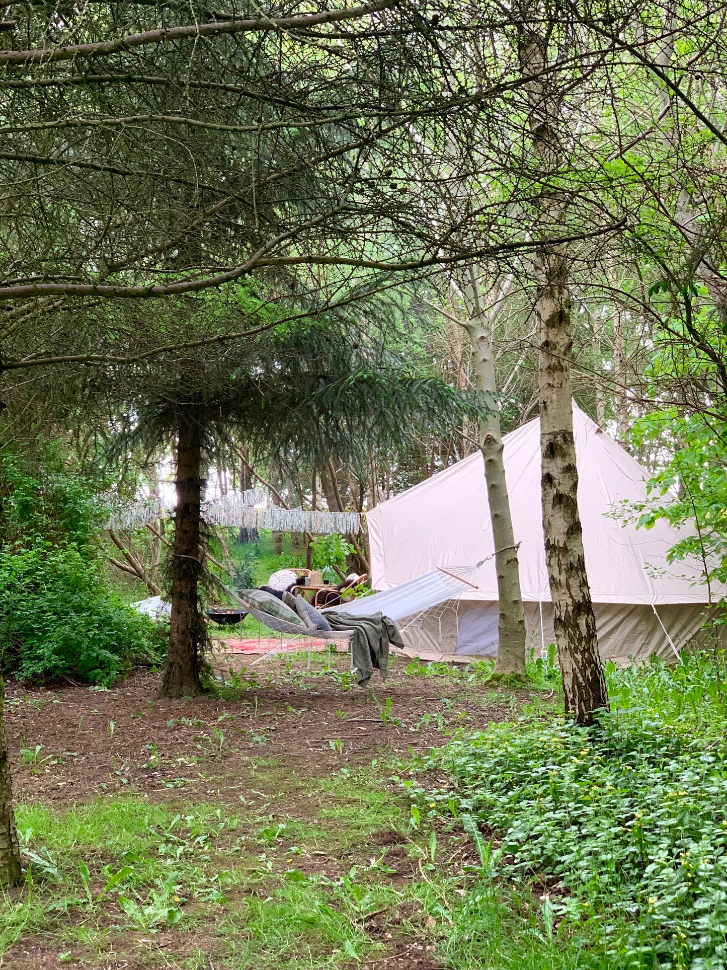 Camp Shadowland