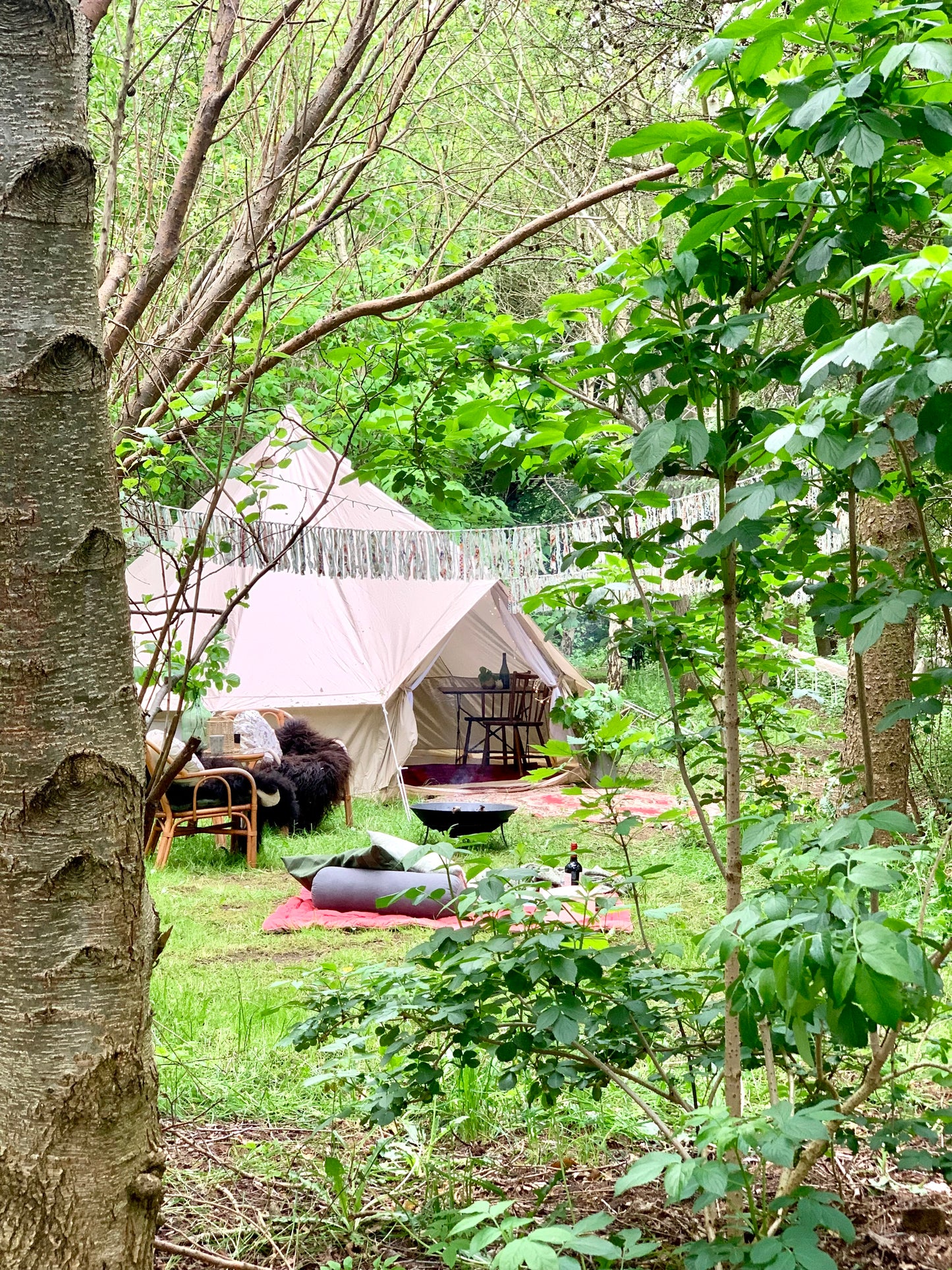 Camp Shadowland