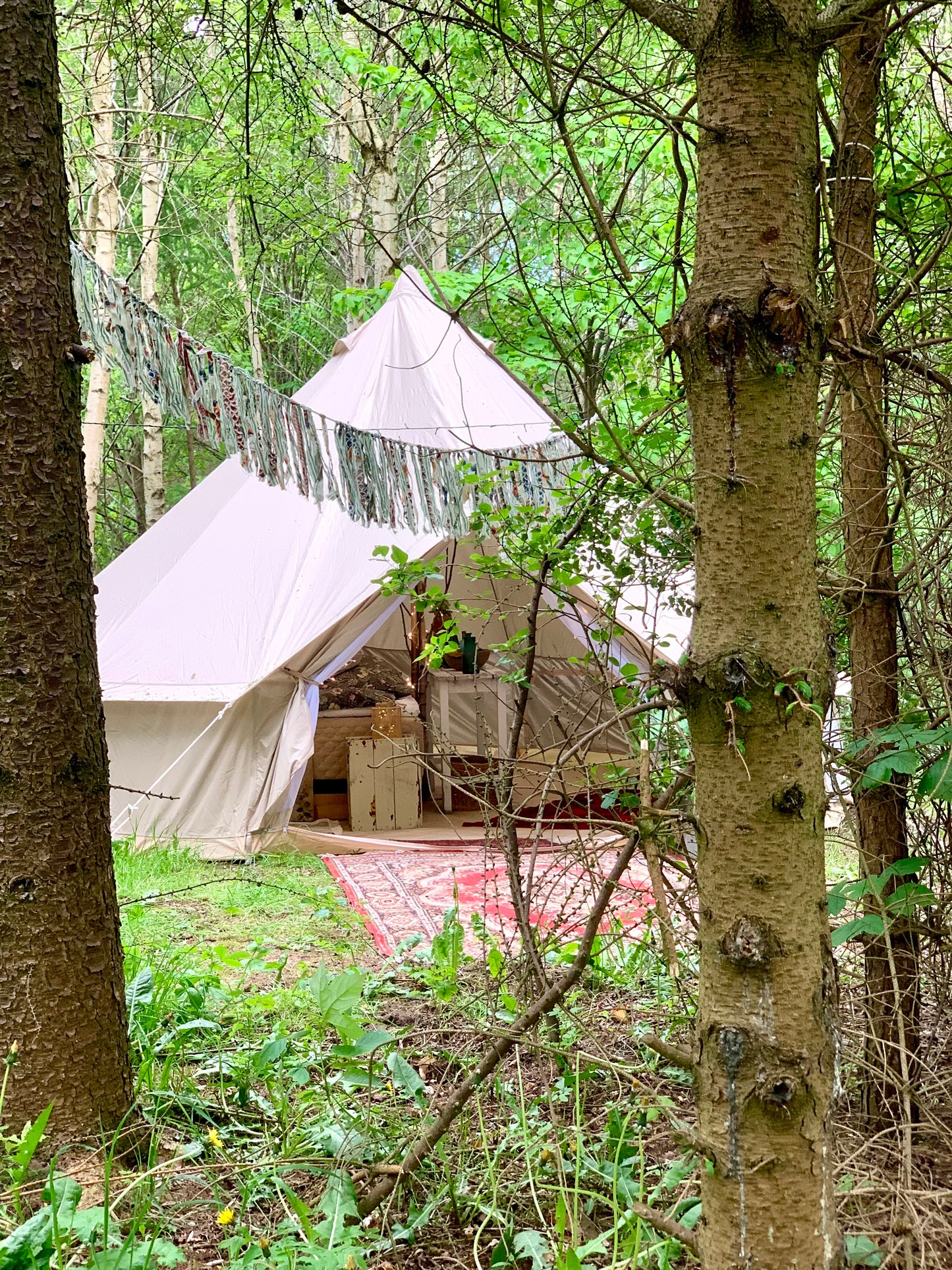 Camp Shadowland